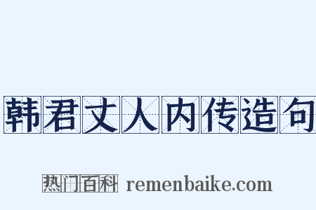 韩君丈人内传造句是什么意思的图片
